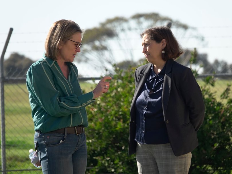 Longtime Victorian Energy Minister, Lily D’Ambrosio, was forced to resign from cabinet earlier this year when her factional ally, Jacinta Allan, resigned as Premier. Picture: NewsWire / Valeriu Campan