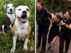 The owner of two dogs that mauled a man in a Brisbane park on Friday evening has spoken out in their defence, claiming her dogs are not dangerous.