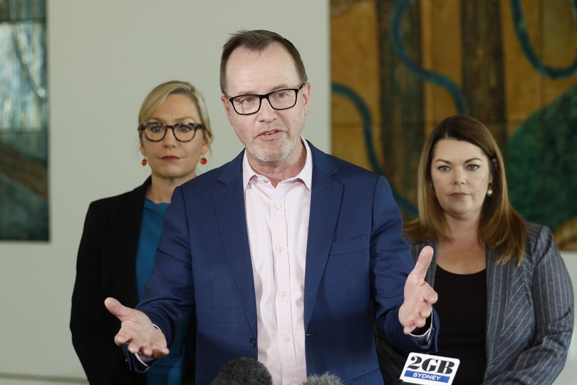 Senator for New South Wales David Shoebridge was appointed new Greens leader a fortnight ago.