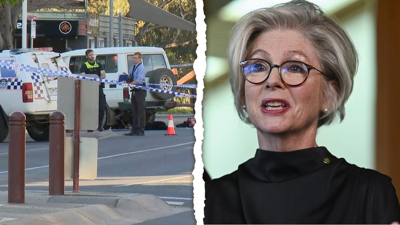 Anthony Albanese has revealed that the driver who allegedly struck independent MP Helen Haines in her Victorian electorate had performed a U-turn just moments before the incident.