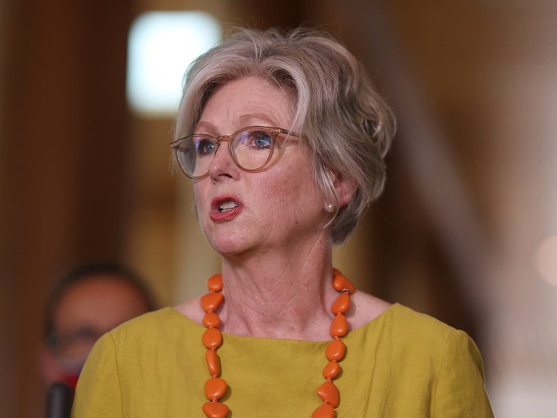 Ms Haines is a fierce advocate for rural healthcare and education. Picture: NewsWire / Gary Ramage
