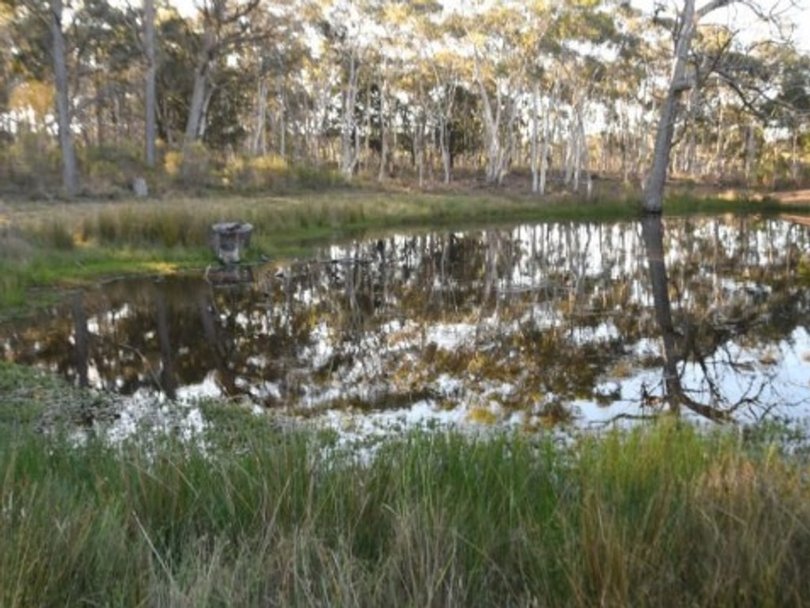 Police divers searched dams at Cella Farm. Picture: Court exhibit.