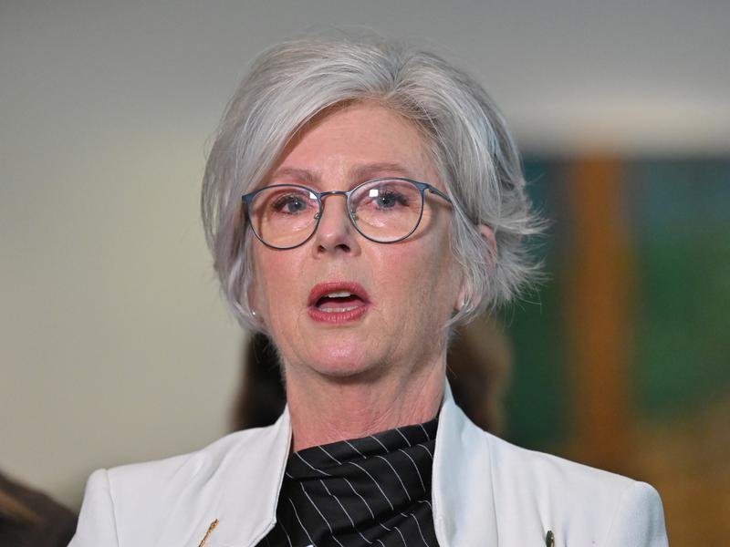 The man arrested over an attack on Helen Haines allegedly made a U-turn before striking her twice.