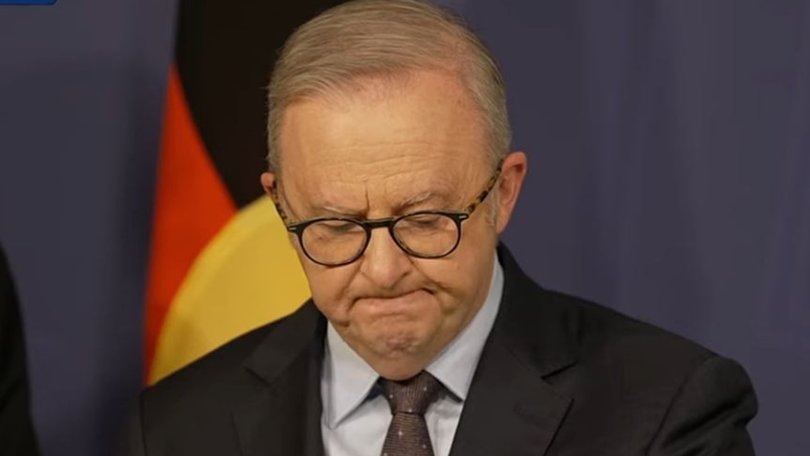 Prime Minister Anthony Albanese held a snap press conference after independent MP Helen Haines was critically injured.