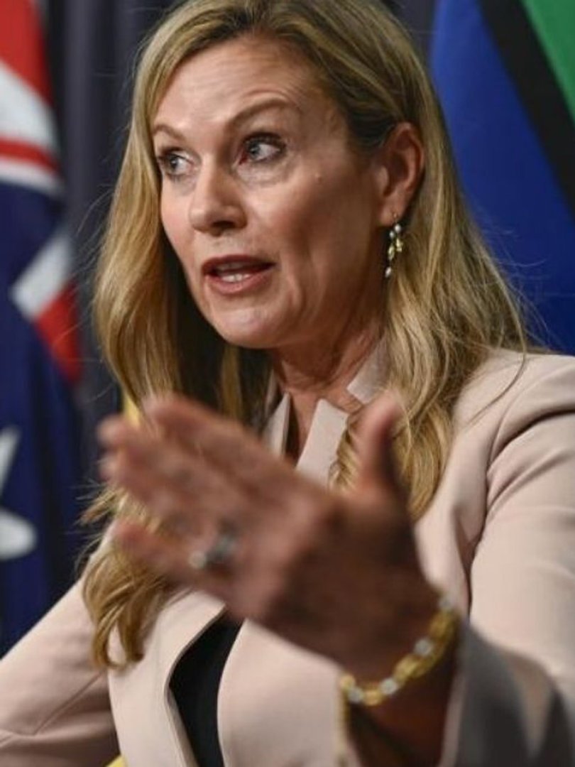 Social media and eSafety Commissioner Julie Inman Grant. Picture: NewsWire