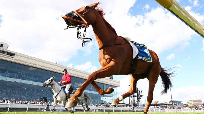 Half Yours is seen after losing its rider Mark Zahra.