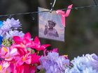 Kumanjayi Little Baby's body was found five days after she was allegedly abducted in April. (Rhett Hammerton/AAP PHOTOS)