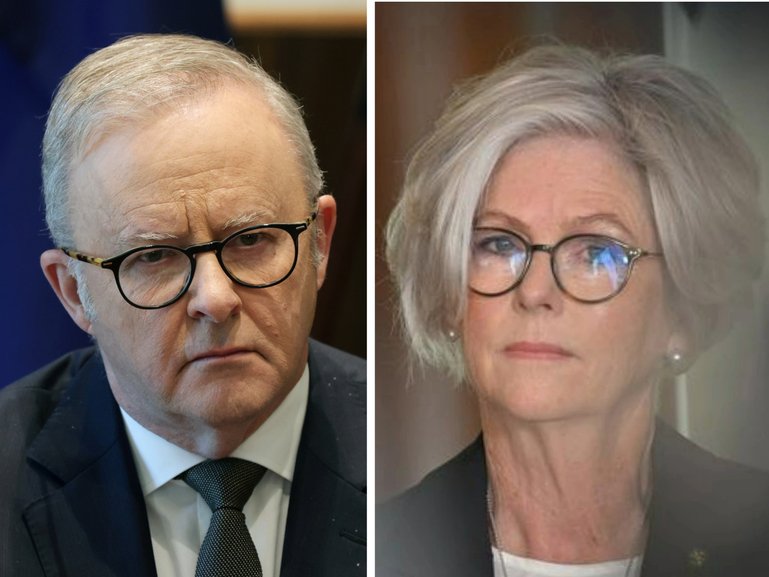 Anthony Albanese has defended a document circulated by his office about Helen Haines, insisting it was not a personal attack after she criticised grants awarded to a golf club in his electorate.