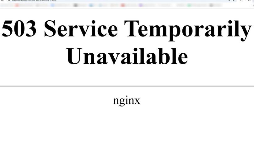Australian Cyber Security Centre’s website has been disrupted by ‘critical vulnerabilities’. Picture: NewsWire