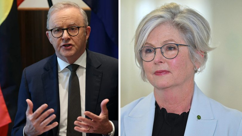 Anthony Albanese has rejected that a reported ‘dirt file’ which was distributed by his office on Helen Haines just weeks before her attack was a personal criticism of the independent Indi MP.