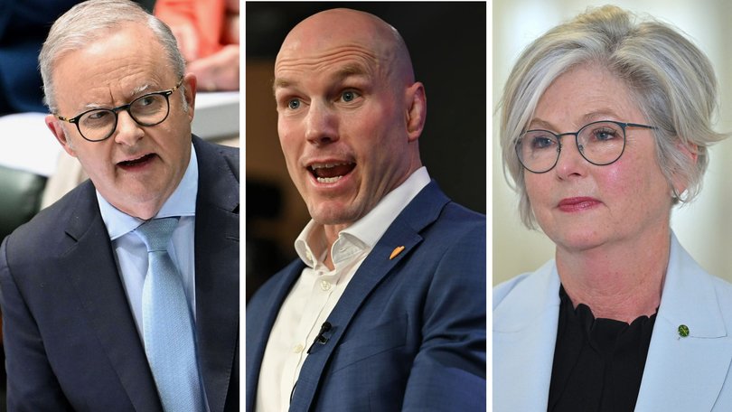 Independent Senator David Pocock has demanded greater accountability from the Prime Minister over a controversial document circulated by Anthony Albanese’s office targeting Helen Haines.