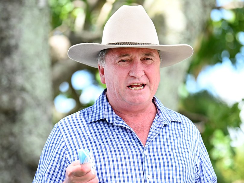 One Nation’s Barnaby Joyce has accused the Prime Minister of attempting to ‘demean and diminish a very decent lady’.
