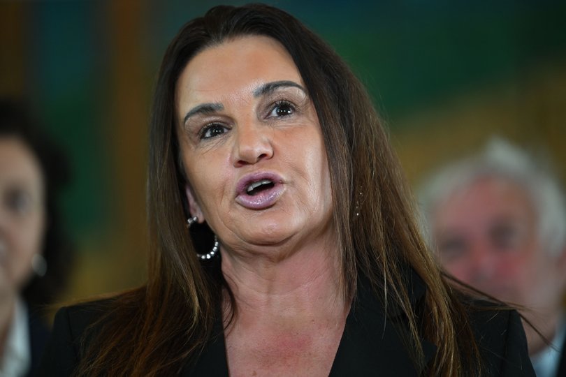 A One Nation cartoon mocked Independent Senator Jacqui Lambie’s vaginal prolapse.