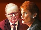 Pauline Hanson’s apology showed better judgment than Anthony Albanese.