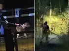 Two dogs that viciously mauled a Brisbane jogger will not be put down immediately but may still be euthanised.