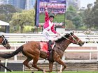 William Pike celebrates after Cosmic Crusader wins the Cox Plate at Flemington.