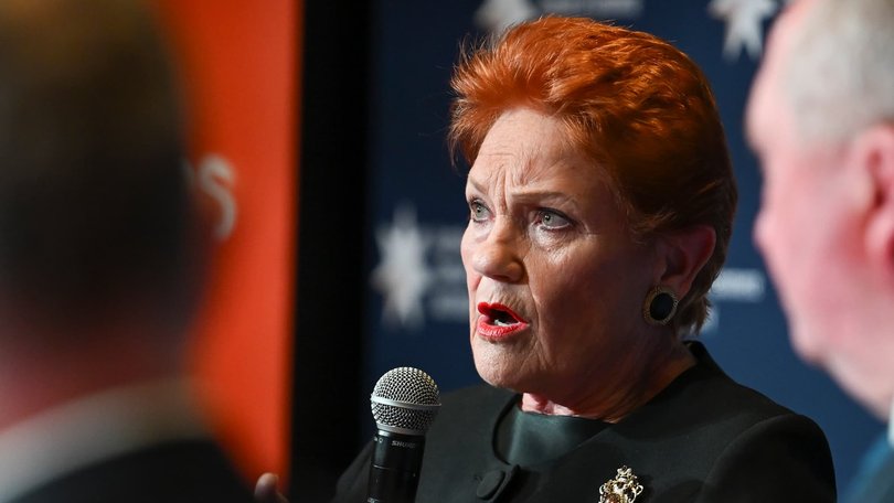 One Nation leader Pauline Hanson has defended her Please Explain cartoons. NewsWire / Martin Ollman