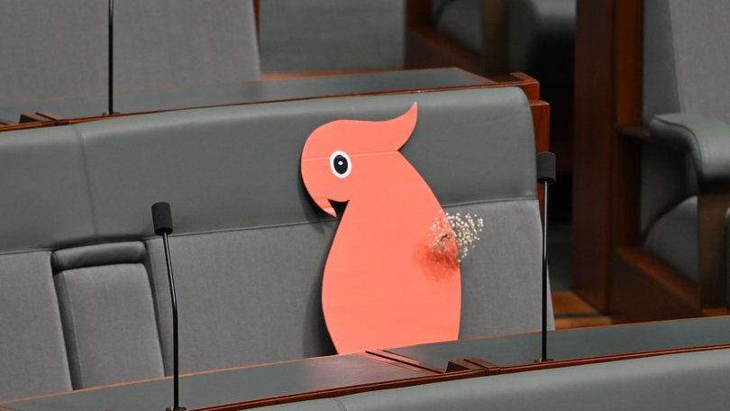  Helen Haines’ seat during Question Time.