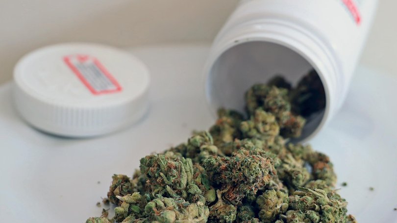Concerning new research finds prescriptions for medicinal cannabis among Aussies under 25 have surged in recent years.