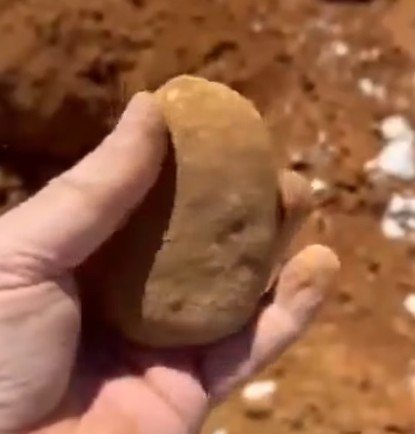 His excitement was palpable as the reality of what he may have found begins to sink in — a discovery that could be worth more than most people earn in a year.