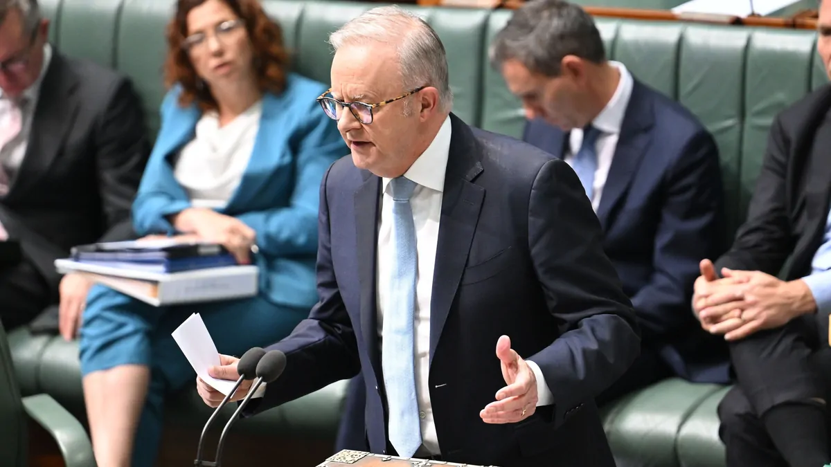 Anthony Albanese considers duress alarms after Helen Haines attack as nine MPs earmark for upgraded security Anthony Albanese considers duress alarms after Helen Haines attack as nine MPs earmark for upgraded security