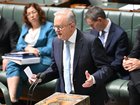 Anthony Albanese is considering a roll out of duress alarms for MPs.