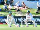Alex Carey is batting well.