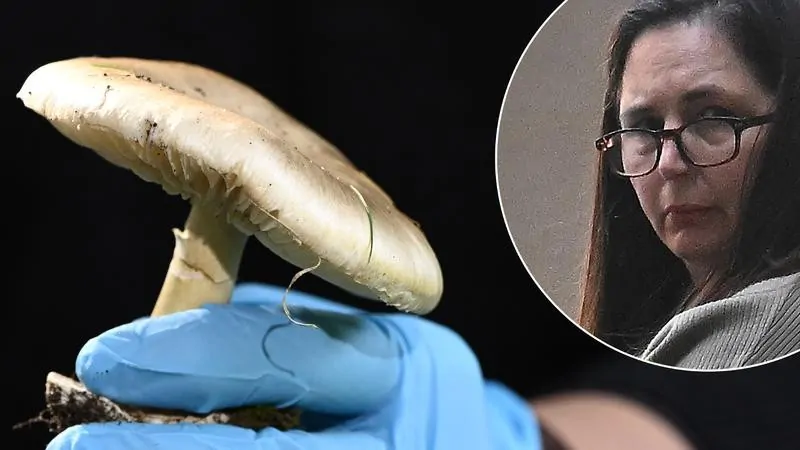 Mushroom Killer Erin Patterson learns fate of appeals