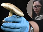 Poisonous death cap mushrooms were put into lunches that Erin Patterson served guests in July 2023. (Joel Carrett, James Ross/AAP PHOTOS)