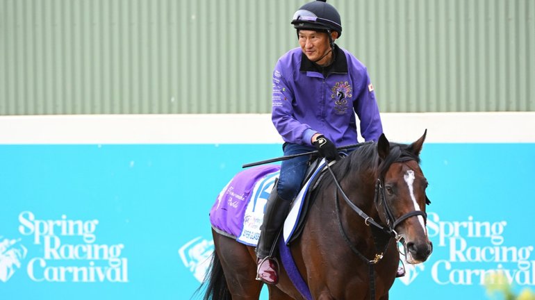 Stinger Glass has been scratched from the Melbourne Cup field.