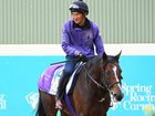 Stinger Glass has been scratched from the Melbourne Cup field.