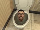 Year 12s found plenty to smile about in their final ATAR English paper, flooding social media with their reactions to the inclusion of bizarre Internet meme “Skibidi Toilet”.